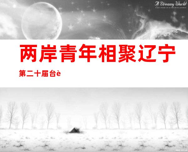 两岸青年相聚辽宁 第二十届台胞青年千人夏令营辽宁分营开营