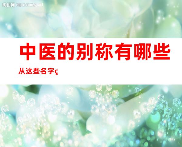 中医的别称有哪些?从这些名字的来源你得到什么启示?（中医网名昵称大全中医别称）