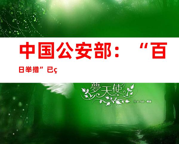 中国公安部：“百日举措”已经破获刑事案件64万余起 抓获犯法嫌疑人143万余名