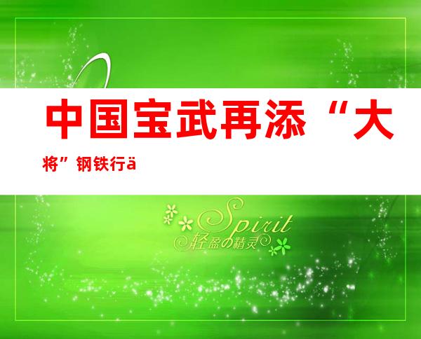 中国宝武再添“大将” 钢铁行业重组整合持续推进，行业集中度进一步提升（附股）