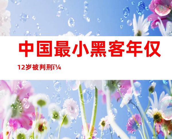 中国最小黑客年仅12岁被判刑（中国最小黑客年仅12岁汪正扬）