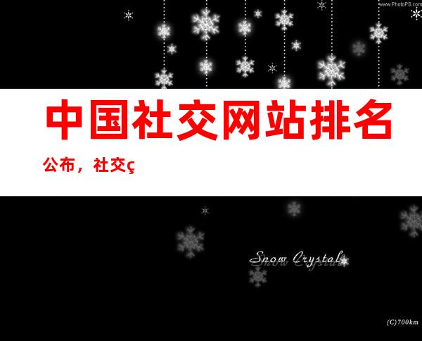 中国社交网站排名公布，社交网站的商业价值