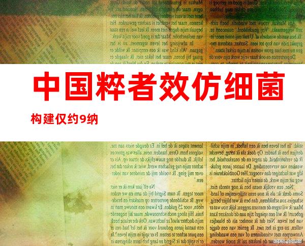 中国粹者效仿细菌 构建仅约9纳米类磁小体“快递”抗肿瘤药物