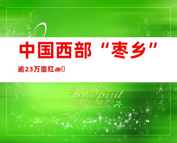 中国西部“枣乡”逾23万亩红枣丰收