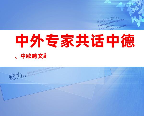 中外专家共话中德、中欧跨文化互助