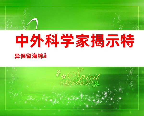 中外科学家揭示特异保留海绵化石的埋躲学机制