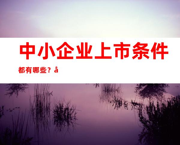 中小企业上市条件都有哪些？具体从哪几方面来阐述？