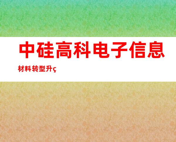 中硅高科电子信息材料转型升级项目-中硅高科技产业股份有限公司