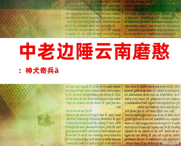 中老边陲云南磨憨：神犬奇兵与平易近警并肩作战守护安全