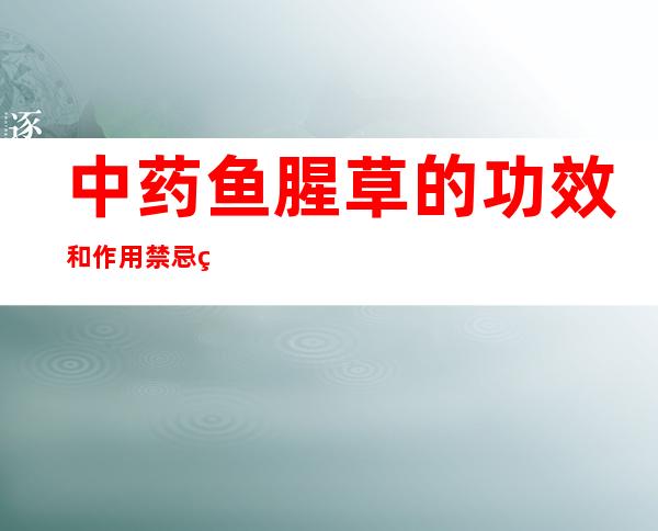 中药鱼腥草的功效和作用禁忌症_鱼腥草副作用和注意事项用法用量