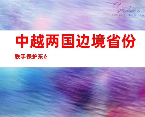 中越两国边境省份联手保护东黑冠长臂猿 种群数量增加