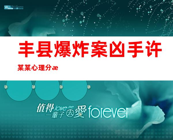 丰县爆炸案凶手许某某心理分析（丰县爆炸案凶手许某某家庭背景）