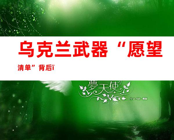 乌克兰武器“愿望清单”背后，谁在坐收渔利？