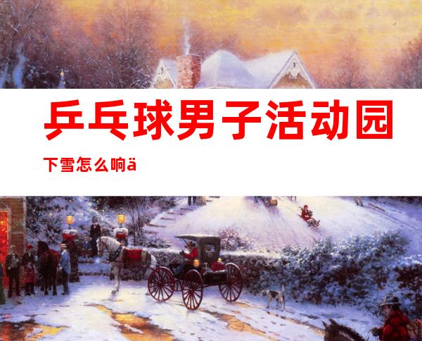 乒乓球男子活动园下雪怎么响了？