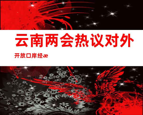 云南两会热议对外开放 口岸经济、现代物流成“热词”