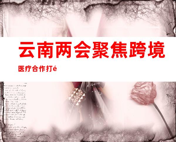 云南两会聚焦跨境医疗合作 打造面向南亚东南亚医疗辐射中心