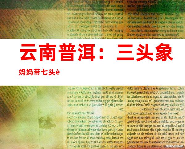 云南普洱：三头象妈妈带七头象宝宝“集体午睡”