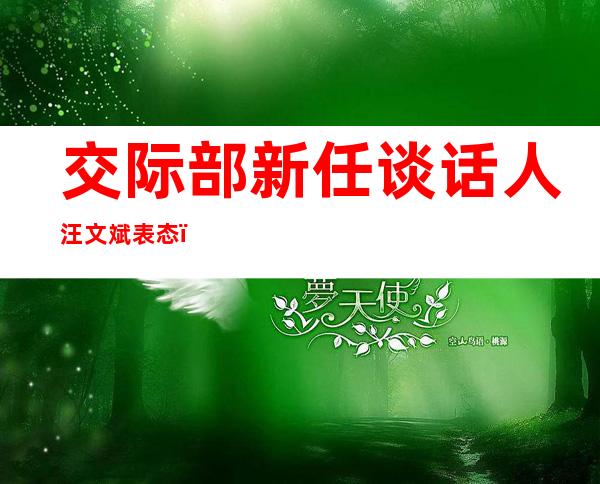 交际 部新任谈话 人汪文斌表态 ：做为交际 部谈话 人，尔照样 一个新人