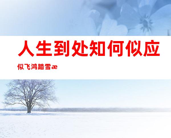 人生到处知何似 应似飞鸿踏雪泥_应似飞鸿踏雪泥的上一句是什么