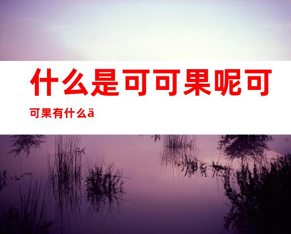 什么是可可果呢 可可果有什么作用呢