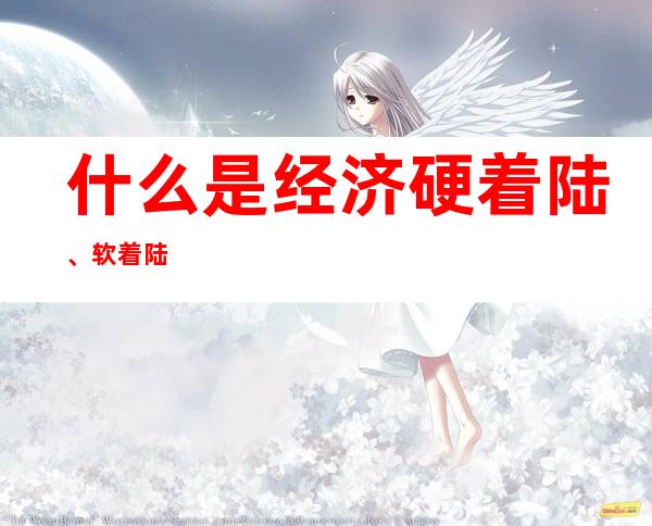 什么是经济硬着陆、软着陆?