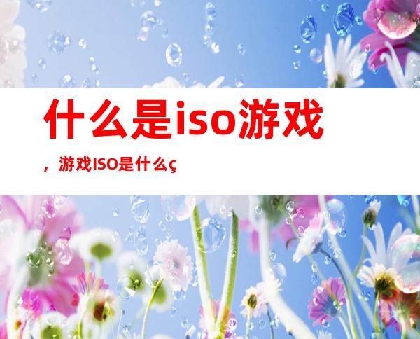 什么是iso游戏，游戏ISO 是什么类型啊