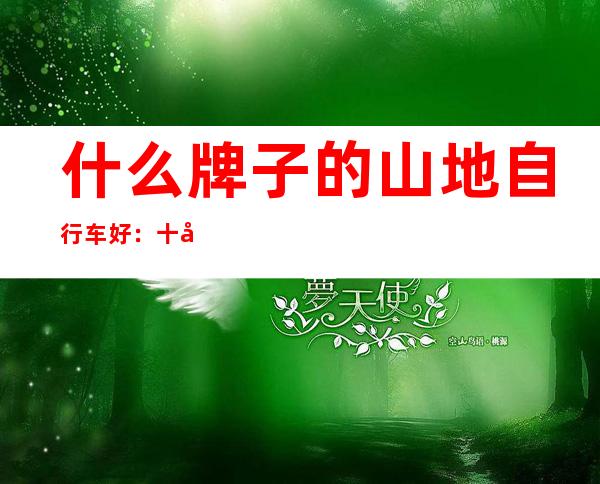 什么牌子的山地自行车好：十大优秀山地车品牌推荐