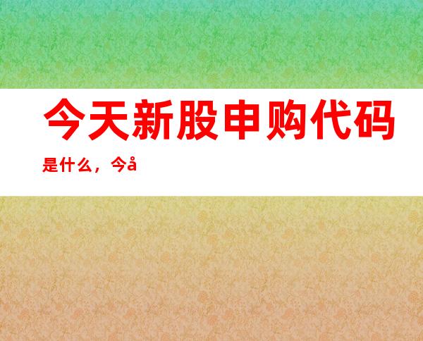 今天新股申购代码是什么，今天新股申购代码查询方式