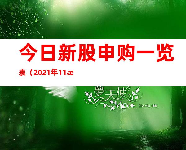 今日新股申购一览表（2021年11月16日）