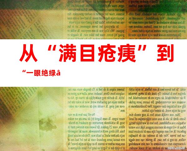 从“满目疮痍”到“一眼绝绿” 江源玉树守好“中华水塔”