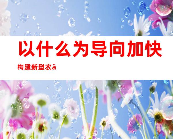 以什么为导向加快构建新型农业经营体系（新型农业经营体系的内涵有哪四化）