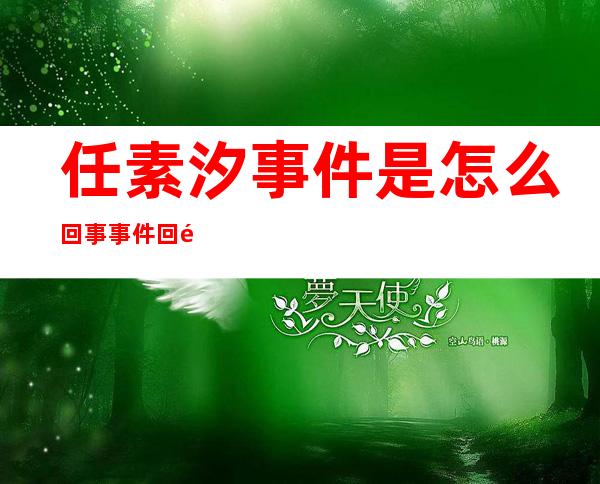 任素汐事件是怎么回事 事件回顾任素汐如今怎样了