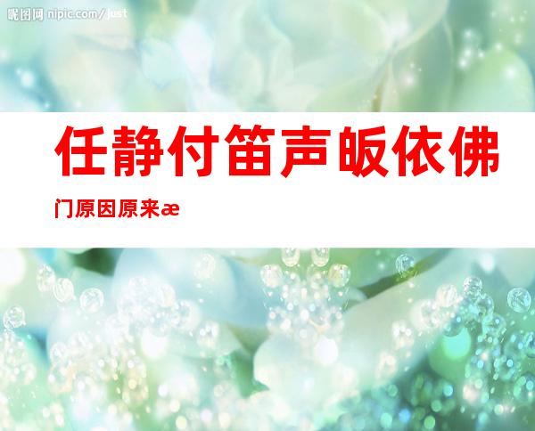 任静付笛声皈依佛门原因原来是这个 两人儿子付豪如今怎样了