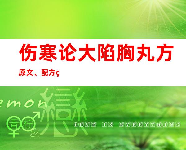 伤寒论大陷胸丸方原文、配方组成与方解