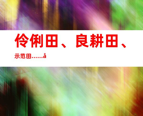 伶俐田、良耕田、示范田……咀嚼稻花香里的“科技含量”