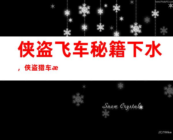 侠盗飞车秘籍下水，侠盗猎车怎么用下水秘籍到下一个城市