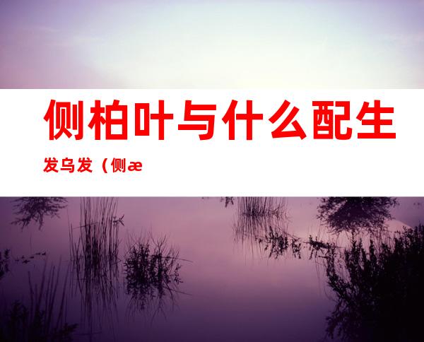 侧柏叶与什么配生发乌发（侧柏叶对脱发有效果吗）