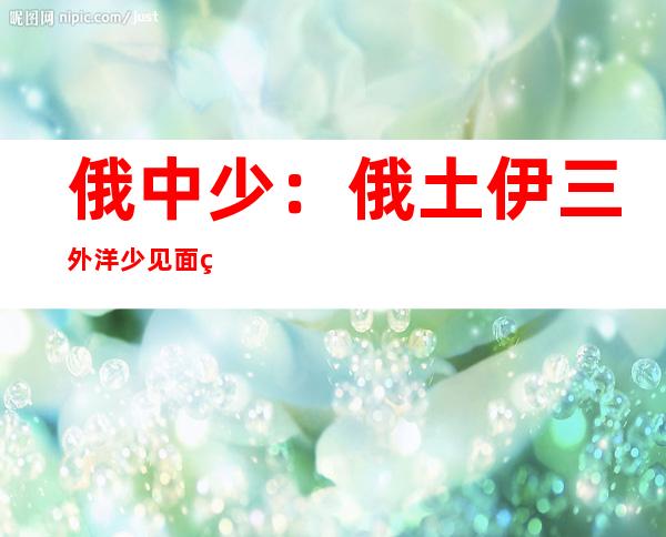 俄中少：俄土伊三外洋 少见面 约定 了任何答题