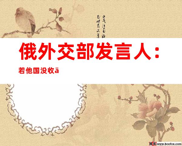 俄外交部发言人：若他国没收俄资产 俄有权采取适当报复措施