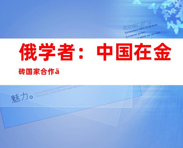 俄学者：中国在金砖国家合作中发挥重要作用