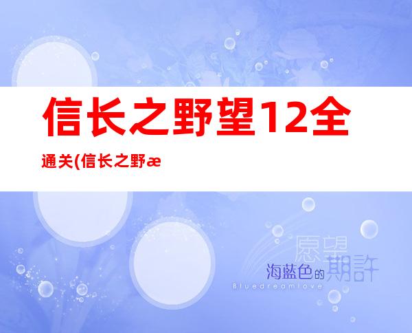 信长之野望12全通关(信长之野望12玩法)