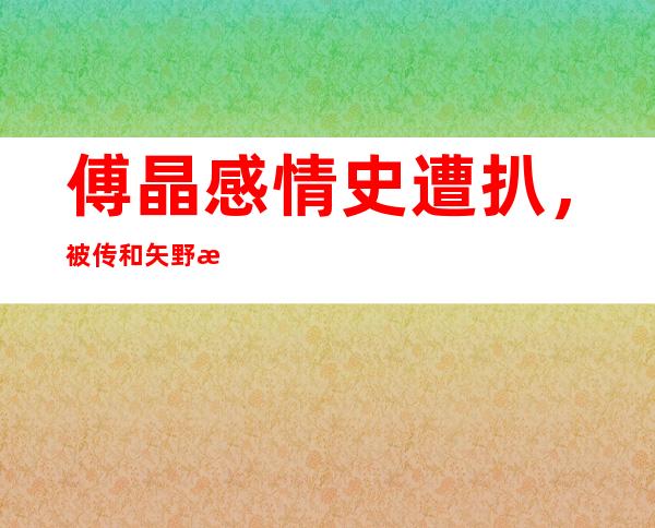 傅晶感情史遭扒，被传和矢野浩二恋情现在已经结婚！