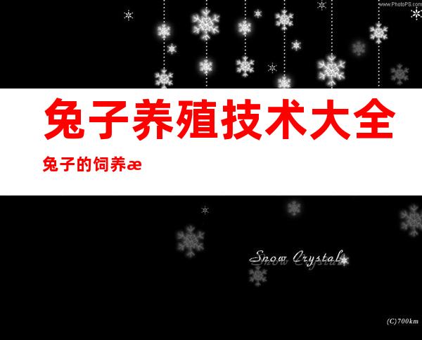 兔子养殖技术大全 兔子的饲养方法 兔子的养殖管理