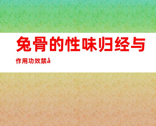 兔骨的性味归经与作用功效禁忌_营养价值与成分药理