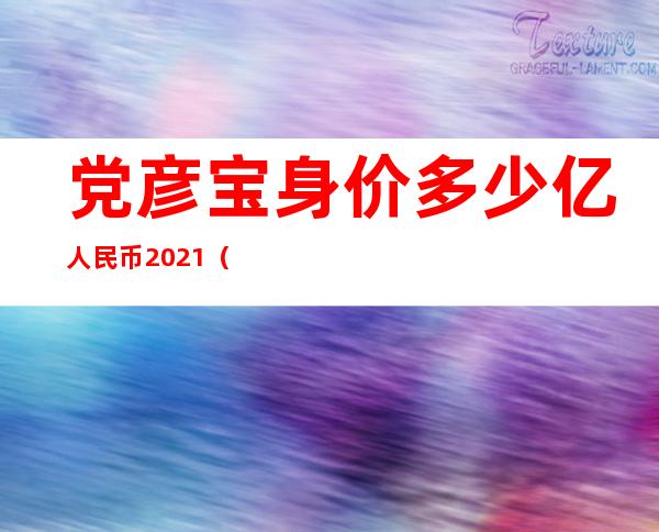 党彦宝身价多少亿人民币2021（党彦宝中国首富排名）