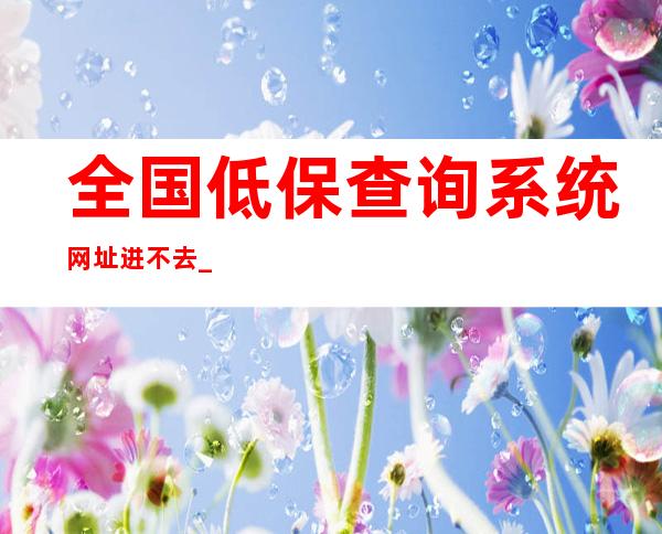 全国低保查询系统网址进不去_全国低保查询系统多少钱