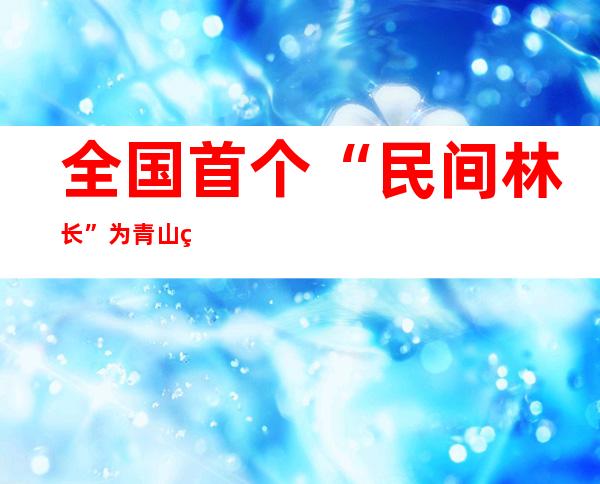 全国首个“民间林长” 为青山种春色