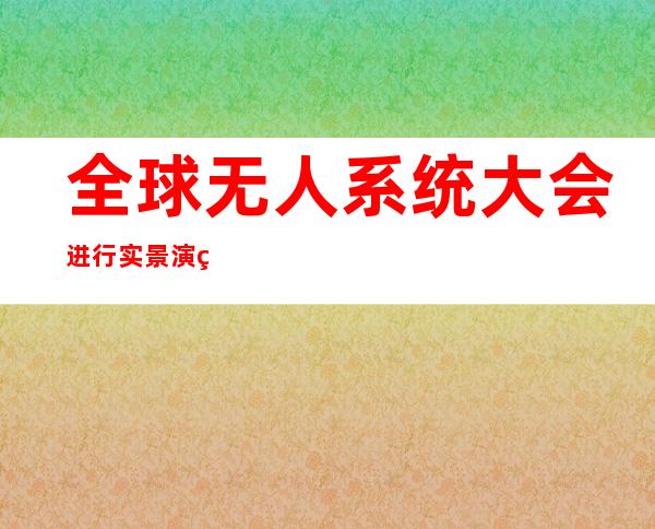 全球无人系统大会进行实景演练 专家学者建言应对“黑飞”“乱飞”