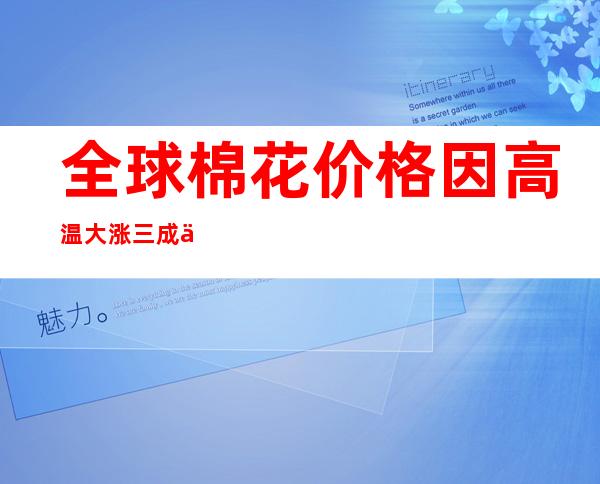 全球棉花价格因高温大涨三成 下半年或持续飙升