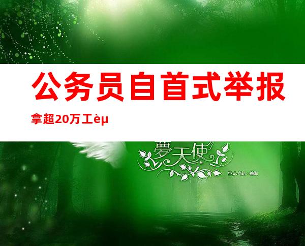 公务员自首式举报拿超20万工资 事情具体经过是